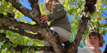 To piger klatrer i et træ