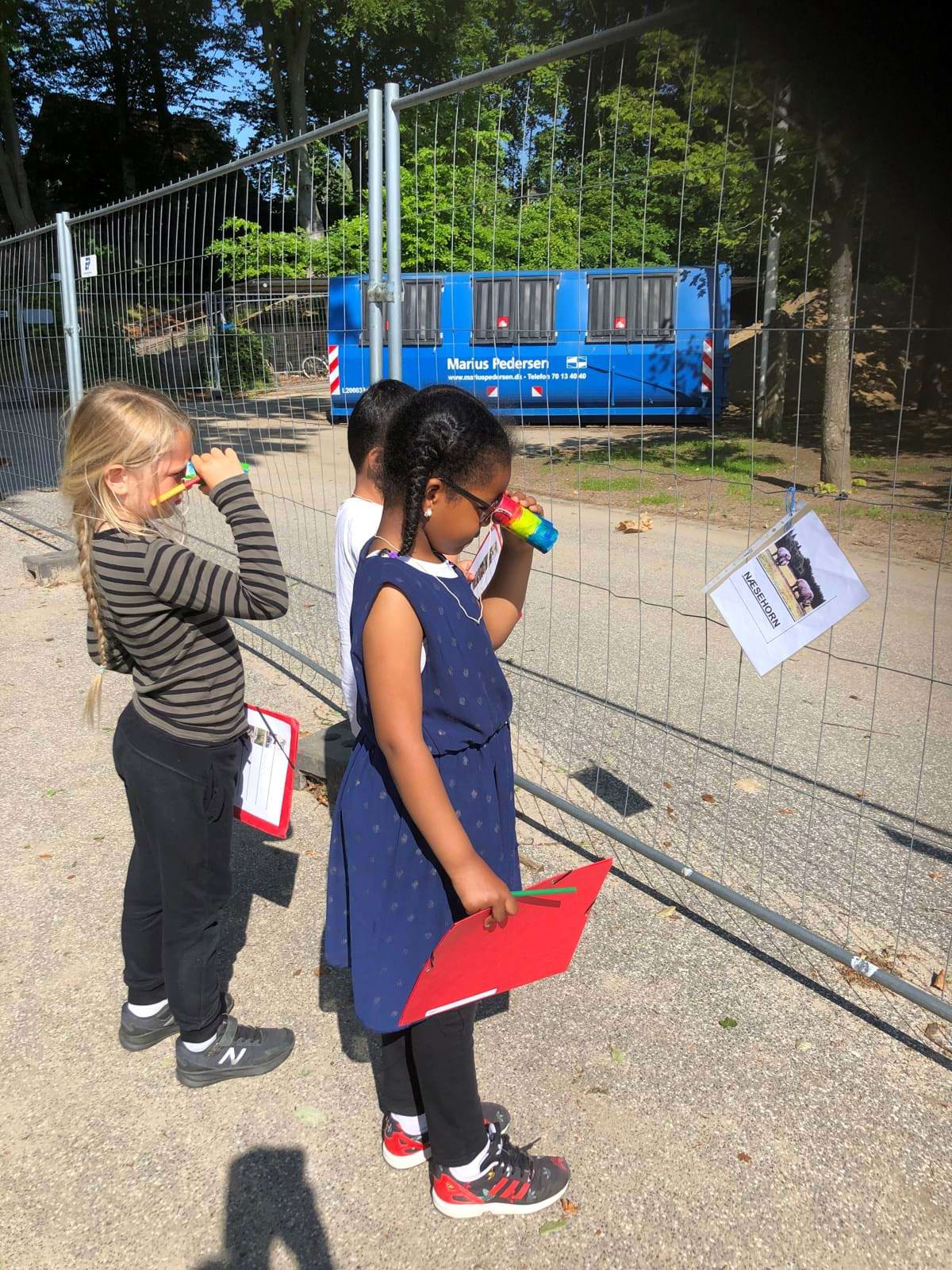 Piger undersøger en post med dyr udenfor (Om skolen)